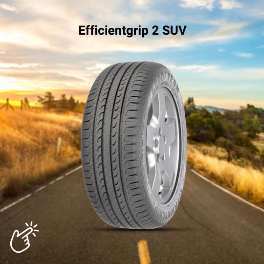 Goodyear Efficientgrip 2 SUV Lastik Testi